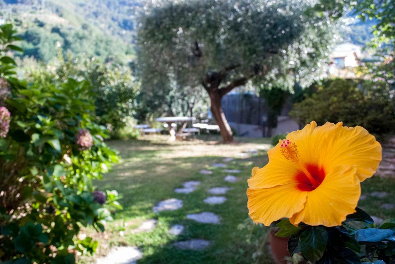 Casa Anna A Pietrasanta In Toscana Con Piscina Exterior foto